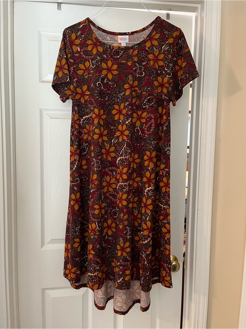 Floral Short-Sleeve Swing Dress in Burgundy and Mustard